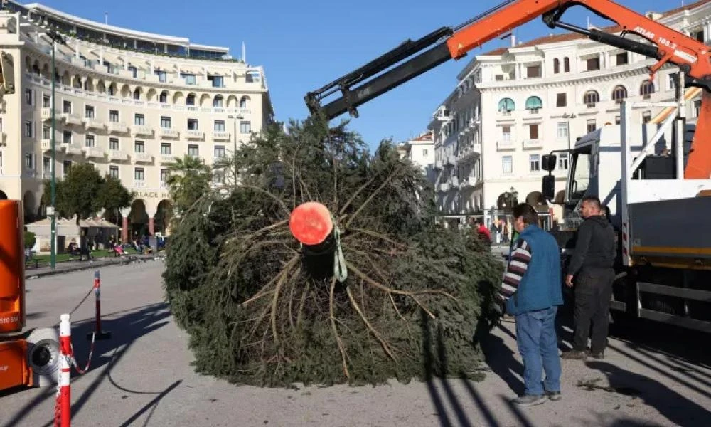 Θεσσαλονίκη: Ξεκινάει η ανακύκλωση των φυσικών χριστουγεννιάτικων δέντρων από τις 8 Ιανουαρίου
